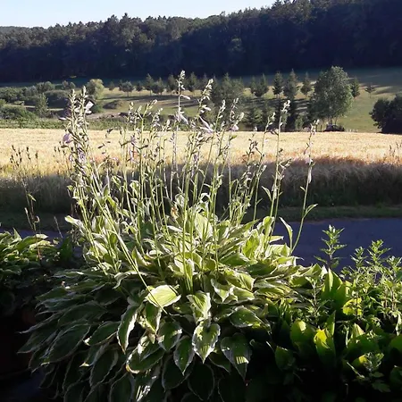 Ferienhaus Planetz *
