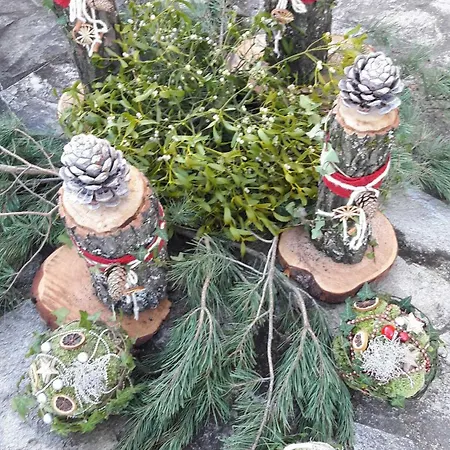 Gospodarstwo agroturystyczne Ferienhaus Planetz Kaindorf (Hartberg-Furstenfeld)