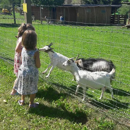 Gospodarstwo agroturystyczne Ferienhaus Planetz *
